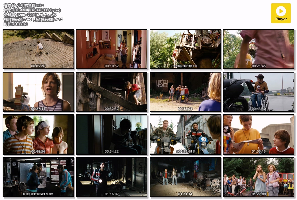 少年鳄鱼帮.mkv.jpg