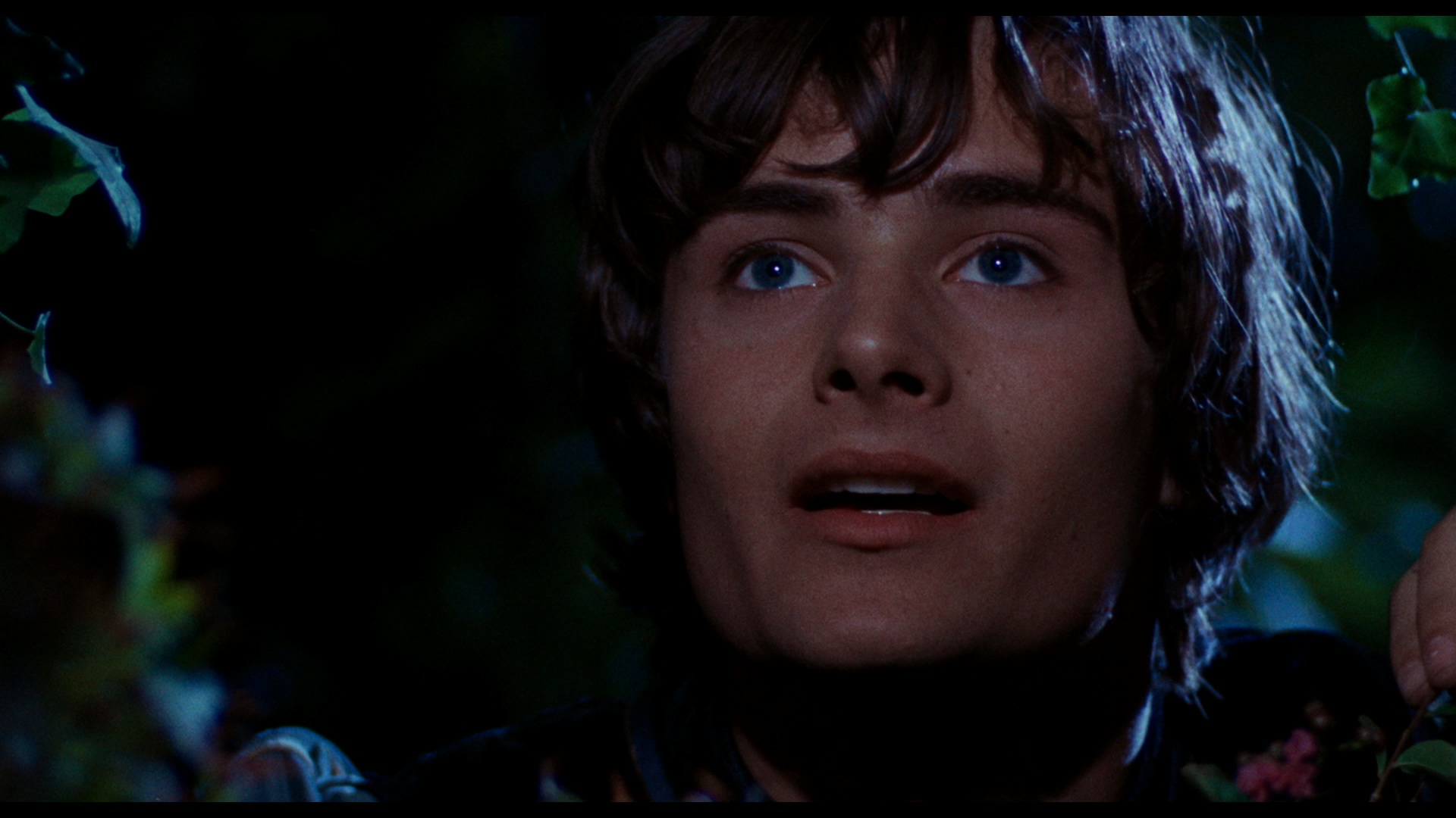 Romeo.and.Juliet.1968.CC.1080p.BluRay.Remux.AVC.FLAC.1.0-QuickIO.mkv_20250424_18.jpg