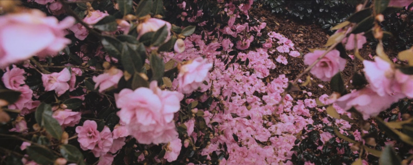 霍华德庄园.Howards.End.1992.REMASTERED.1080p.BluRay.x265.2audio-RARBG特效字幕 (2.jpg