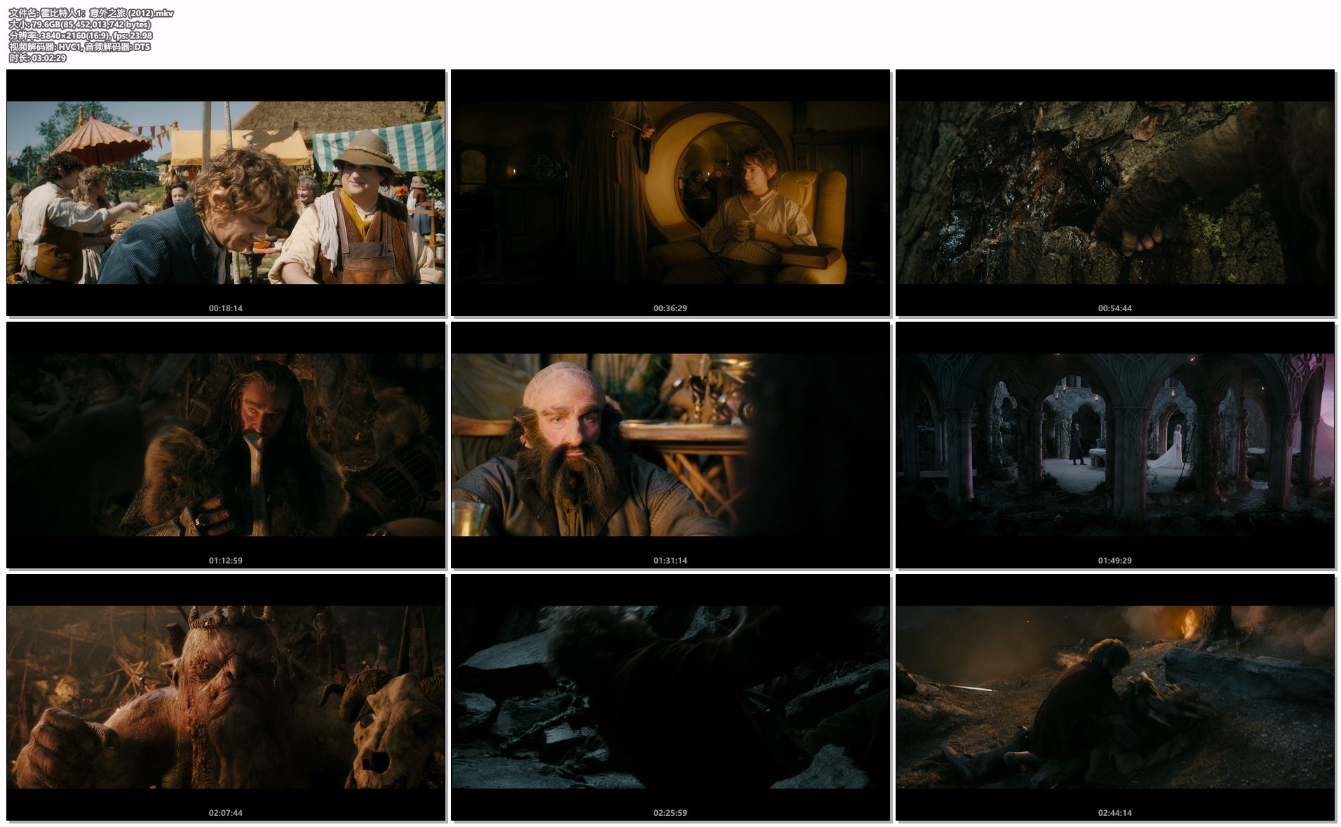 霍比特人1：意外之旅 (2012).mkv.png