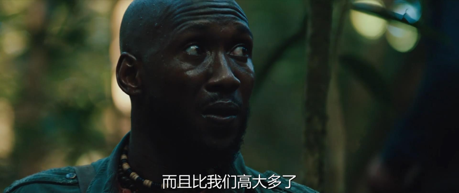 新铁血战士（铁血战士3）.2010.国英双语中字.1080p.H264.AAC (1).mkv_20250331_183817932.jpg