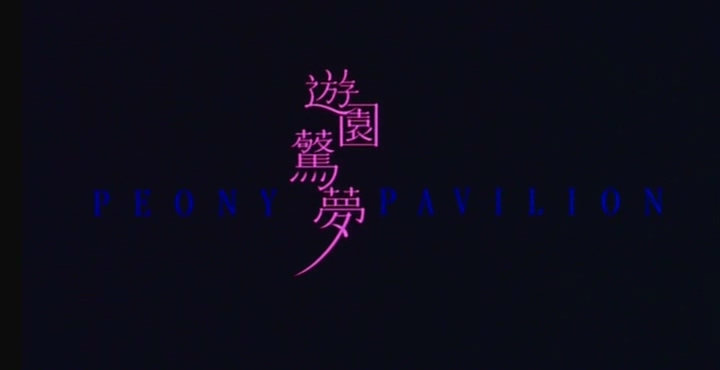 [游园惊梦].Peony.Pavilion.2001.DVDRip.x264.DTS.3Audios-CMCT.mkv_20250430_010807.893.jpg