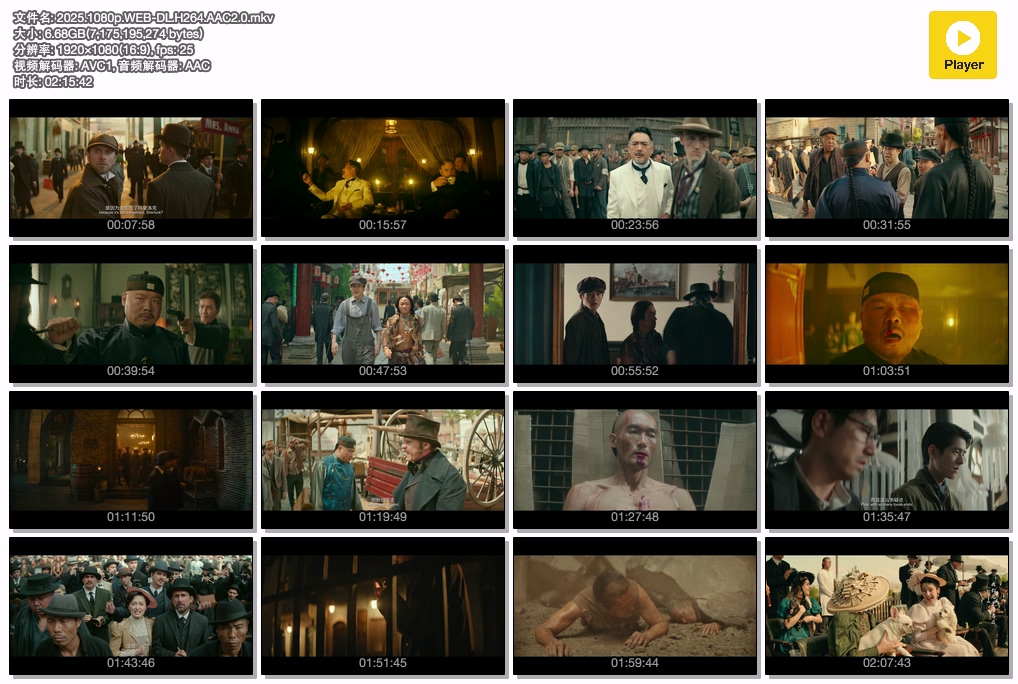 2025.1080p.WEB-DL.H264.AAC2.0.mkv.jpg