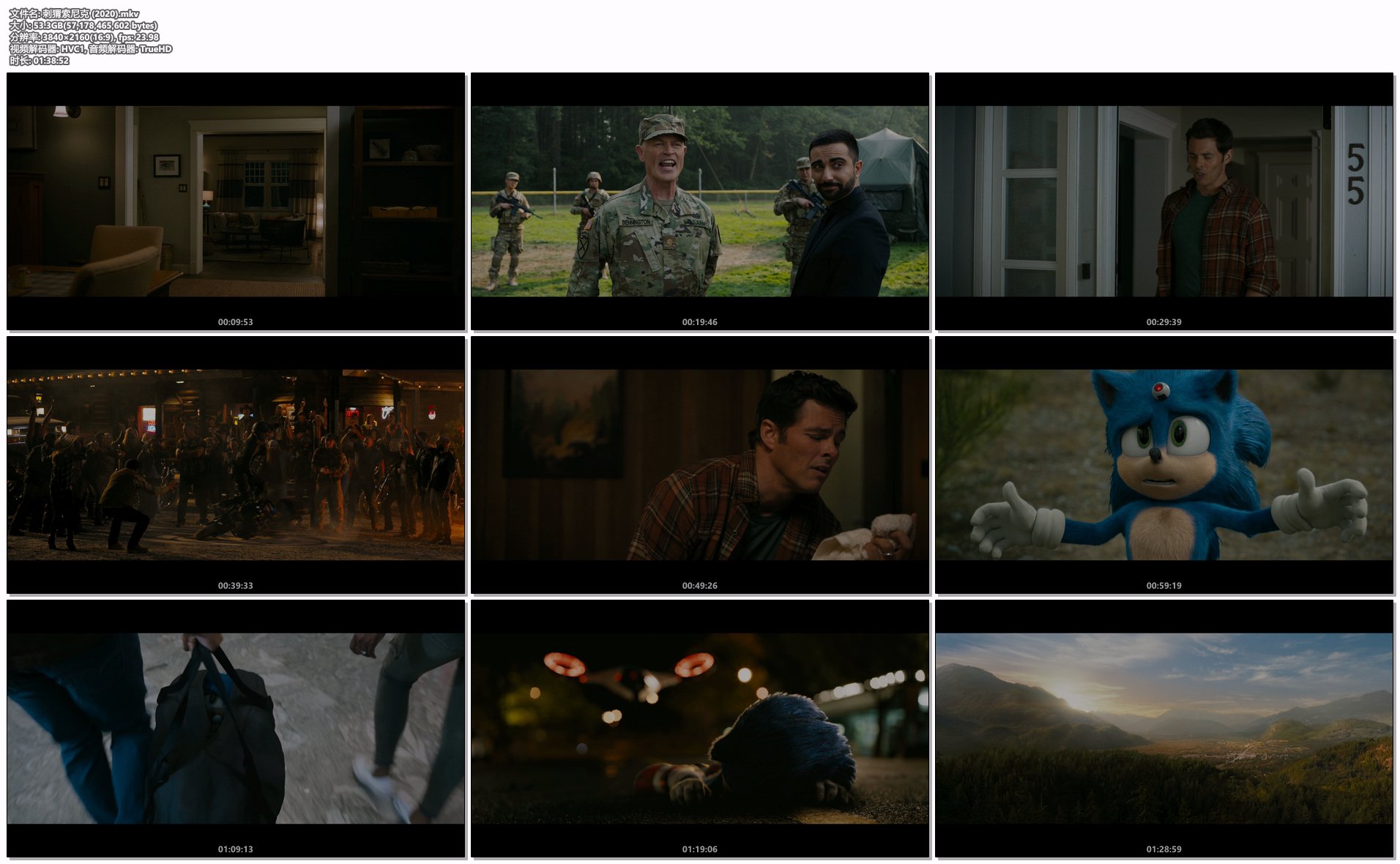 刺猬索尼克 (2020).mkv.png