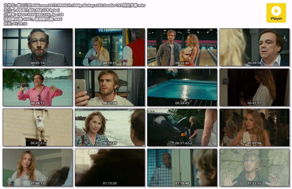借口公司.Alibi.com.2017.FRENCH.1080p.BluRay.x265.2audio-VXT特效字幕.mkv.jpg