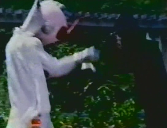 The Invincible Space Streaker.1977.avi_20250502_203119.925.jpg