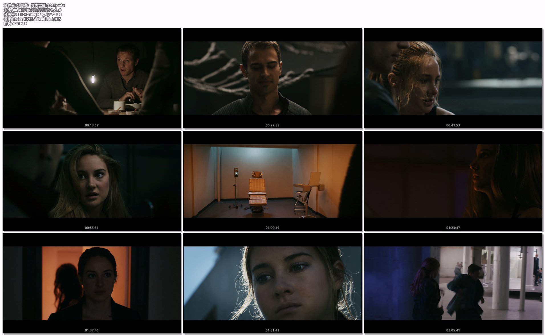 分歧者：异类觉醒 (2014).mkv.png