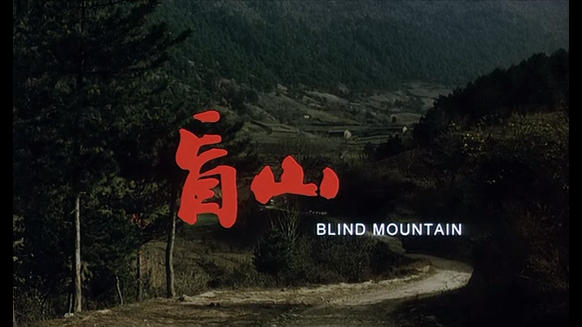 Blind.Mountain.2007.DVDRip.1080P.X265.mkv_20250505_183245.889.jpg