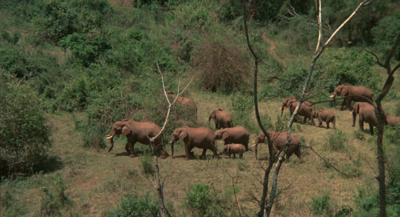 Project.X.1987.720p.BluRay.x264-HD4U .mkv_20250506_224422.672.jpg