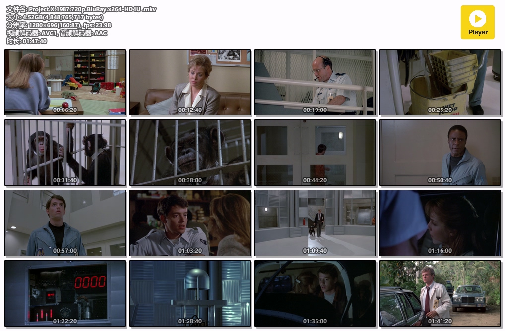 Project.X.1987.720p.BluRay.x264-HD4U .mkv.jpg