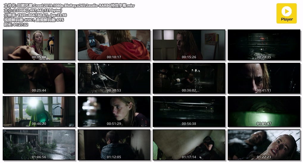 巨鳄风暴.Crawl.2019.1080p.BluRay.x265.2audio-RARBG特效字幕.mkv.jpg