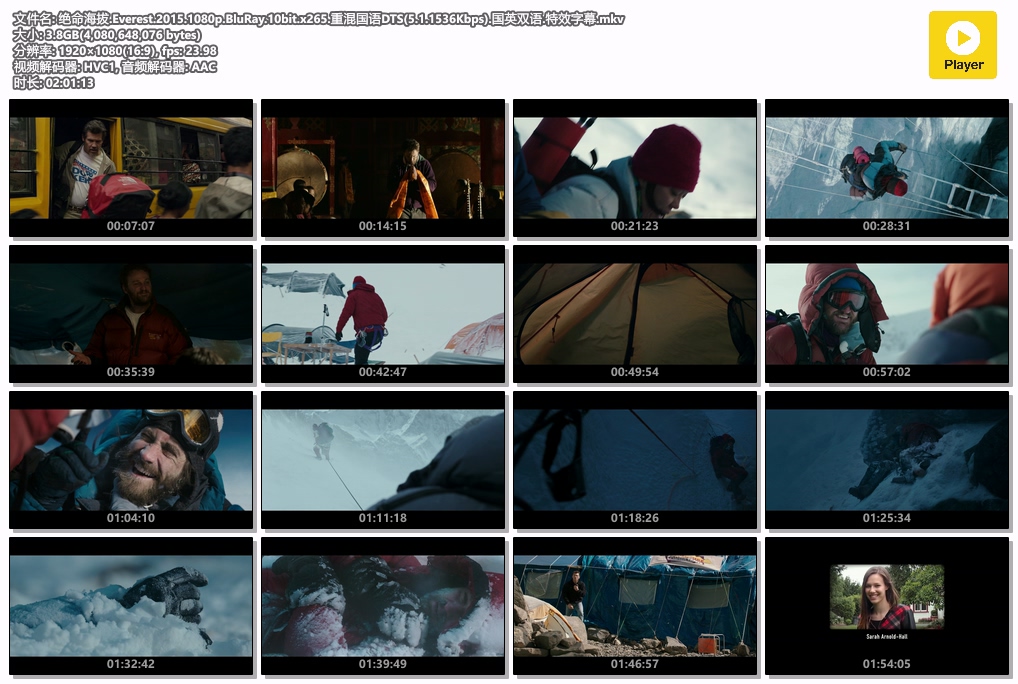 绝命海拔.Everest.2015.1080p.BluRay.10bit.x265.重混国语DTS(5.1.1536Kbps).国英双语.jpg