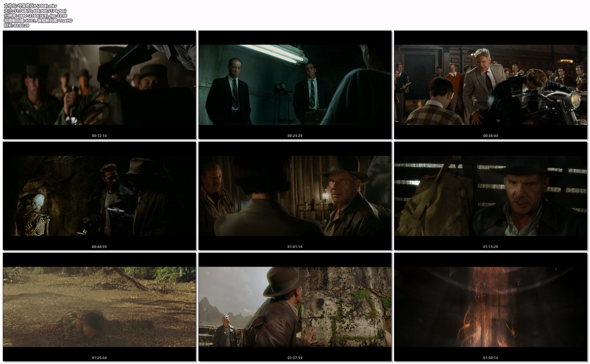 夺宝奇兵4 (2008).mkv.png