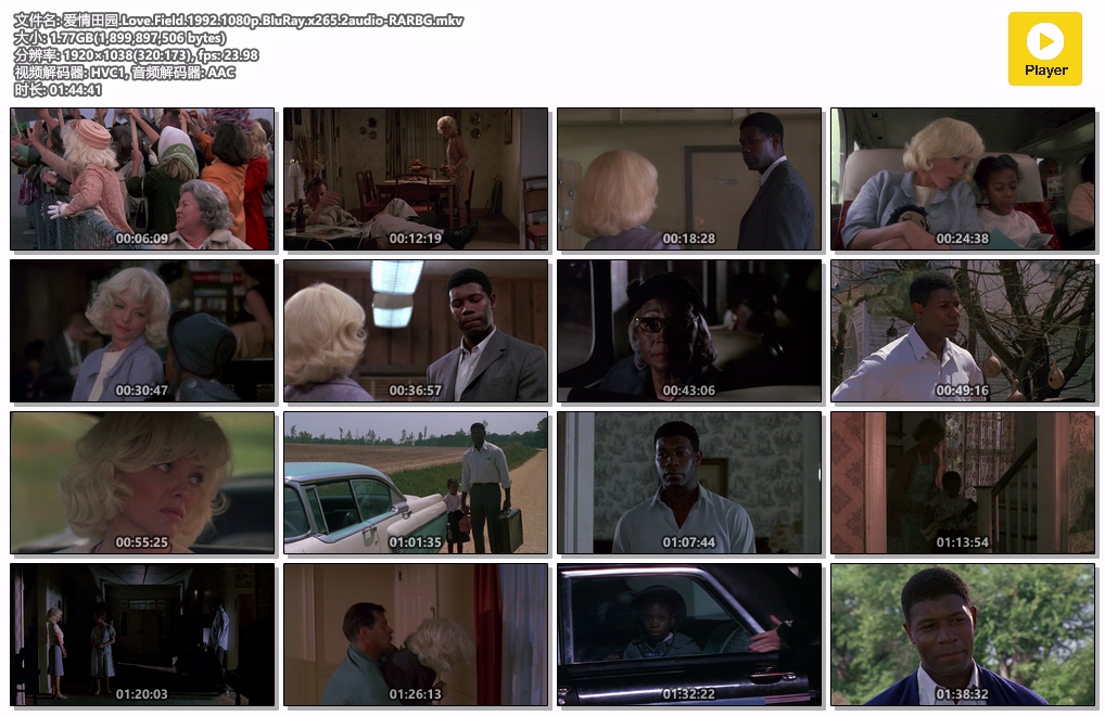 爱情田园.Love.Field.1992.1080p.BluRay.x265.2audio-RARBG.mkv.jpg
