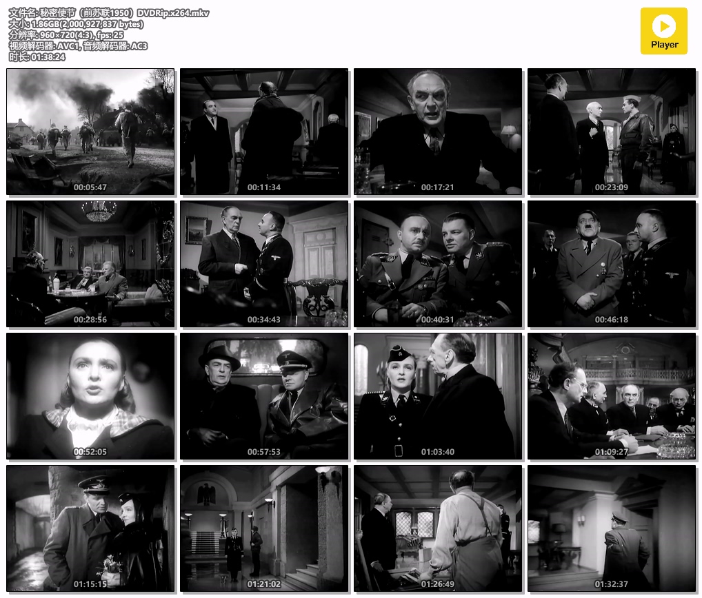 秘密使节（前苏联1950）DVDRip.x264.mkv.jpg