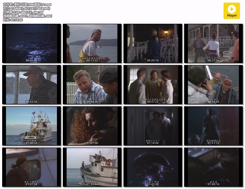 美标-巨鱼1996国语7.6.mp4.jpg