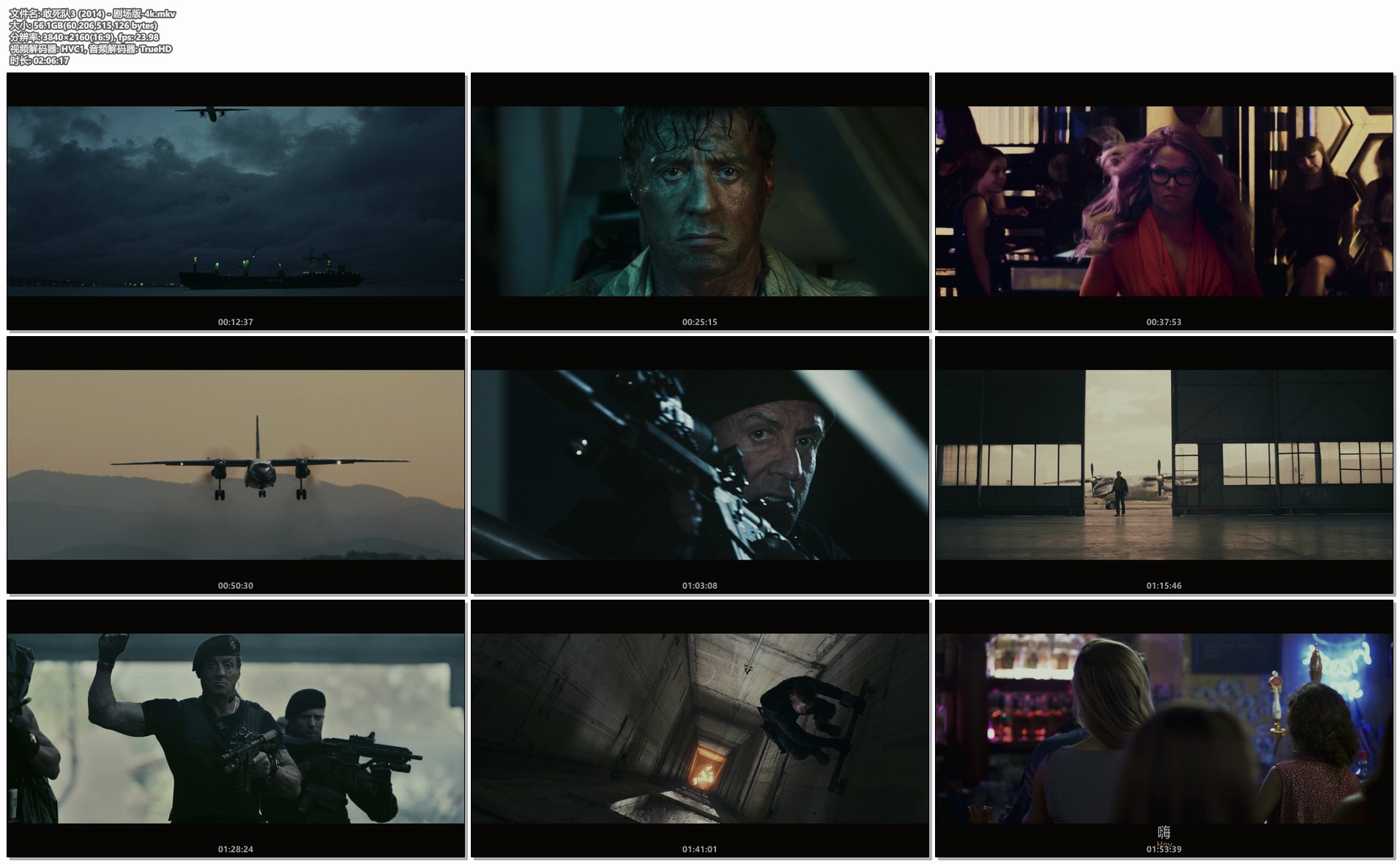 敢死队3 (2014) - 剧场版-4k.mkv.png