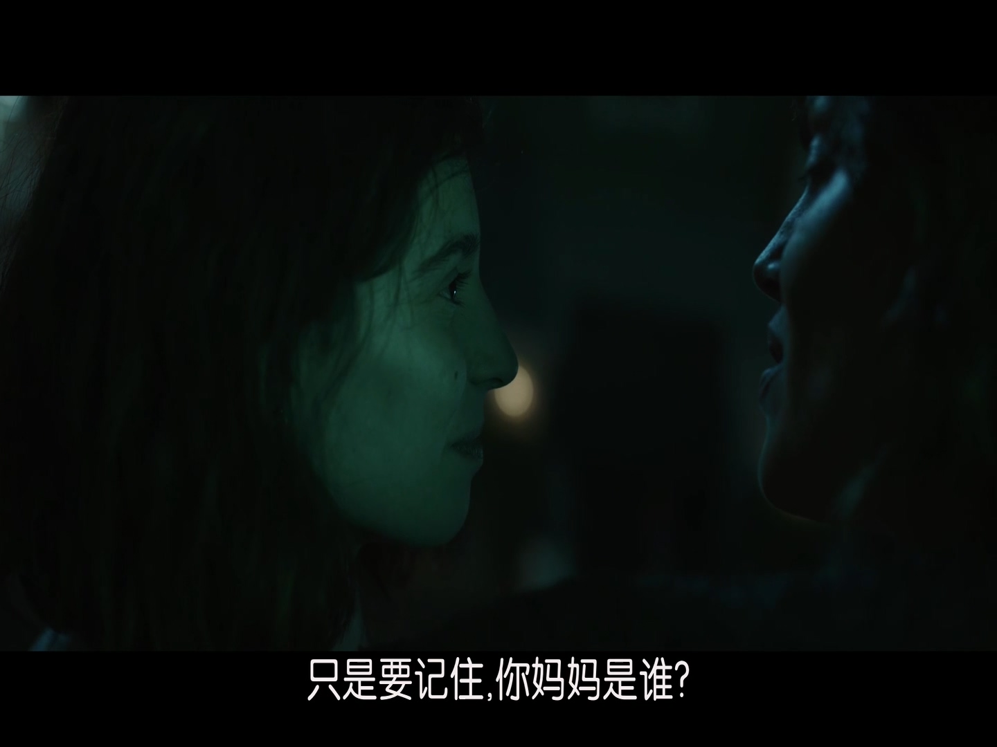 好母亲 The Good Mothers (2028)1.jpg