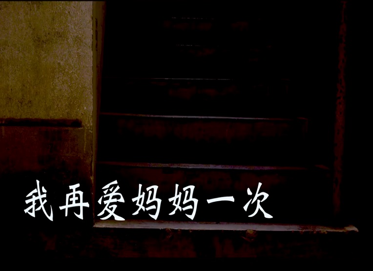 13我再爱妈妈一次 (2).jpg