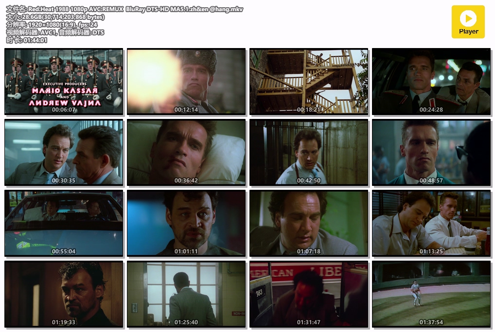 Red.Heat 1988 1080p AVC.REMUX  BluRay DTS-HD MA5.1.zh&en @hang.mkv.jpg