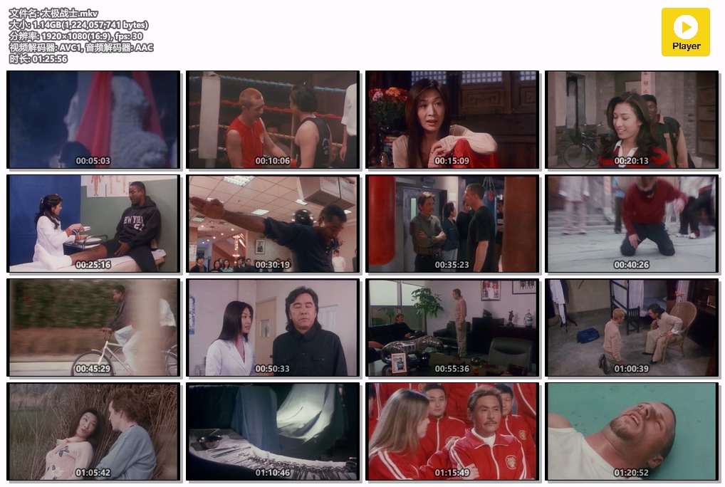太极战士.mkv.jpg