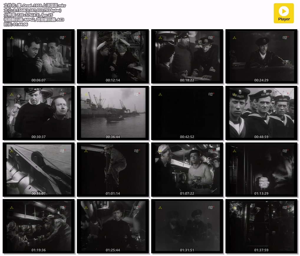 鹰 .Orzel .1959.上译国语.mkv.jpg