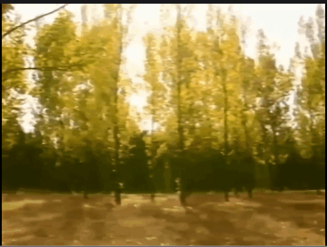 QQ截图20250514212656 (1).png