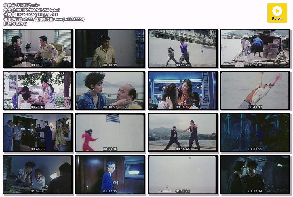天网行动.mkv.jpg