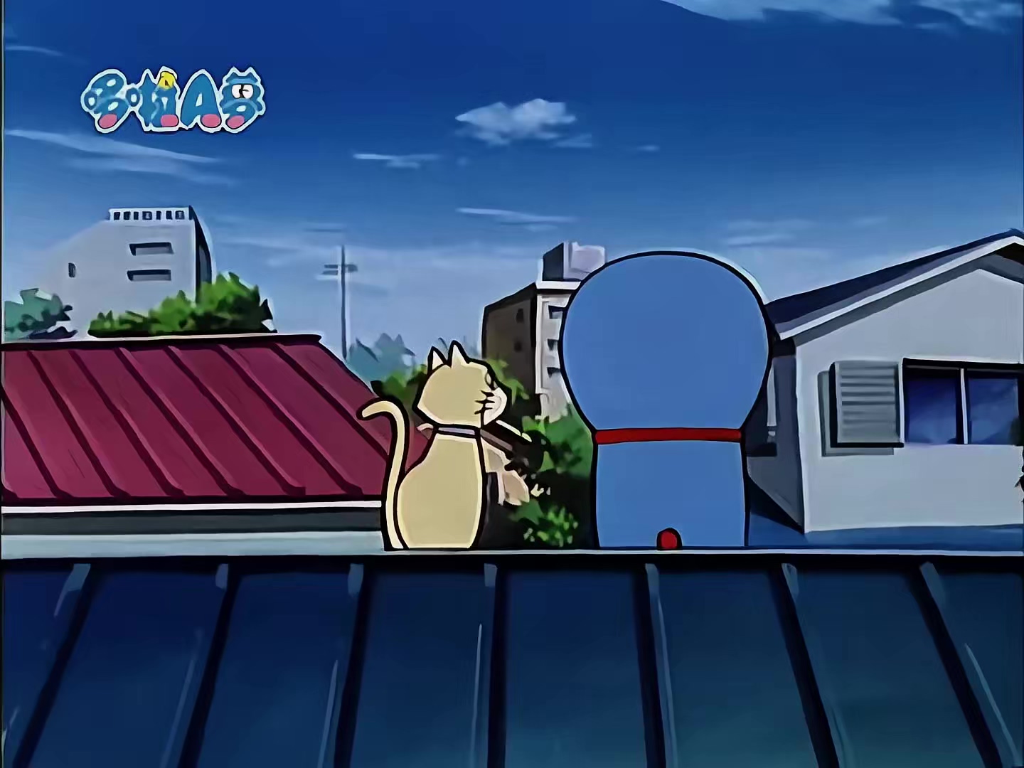 0615 给我手杖.mp4_20250517_093015.590.jpg