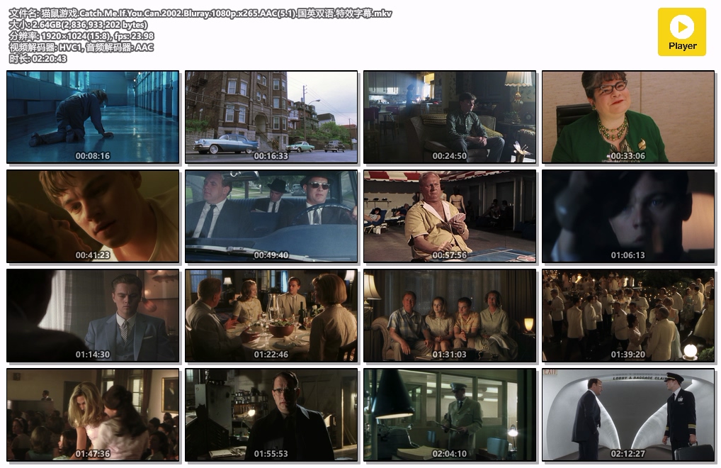 猫鼠游戏.Catch.Me.If.You.Can.2002.Bluray.1080p.x265.AAC(5.1).国英双语.特效字幕.mkv.jpg