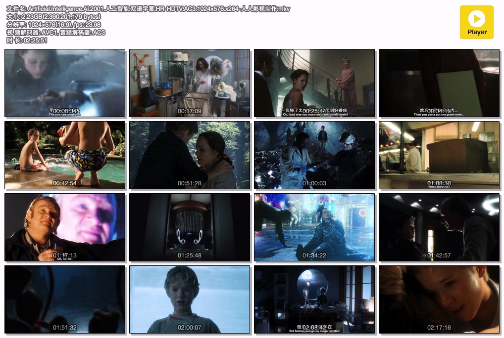 Artificial.Intelligence.AI.2001.人工智能.双语字幕.HR-HDTV.AC3.1024x576.x264-人人.jpg