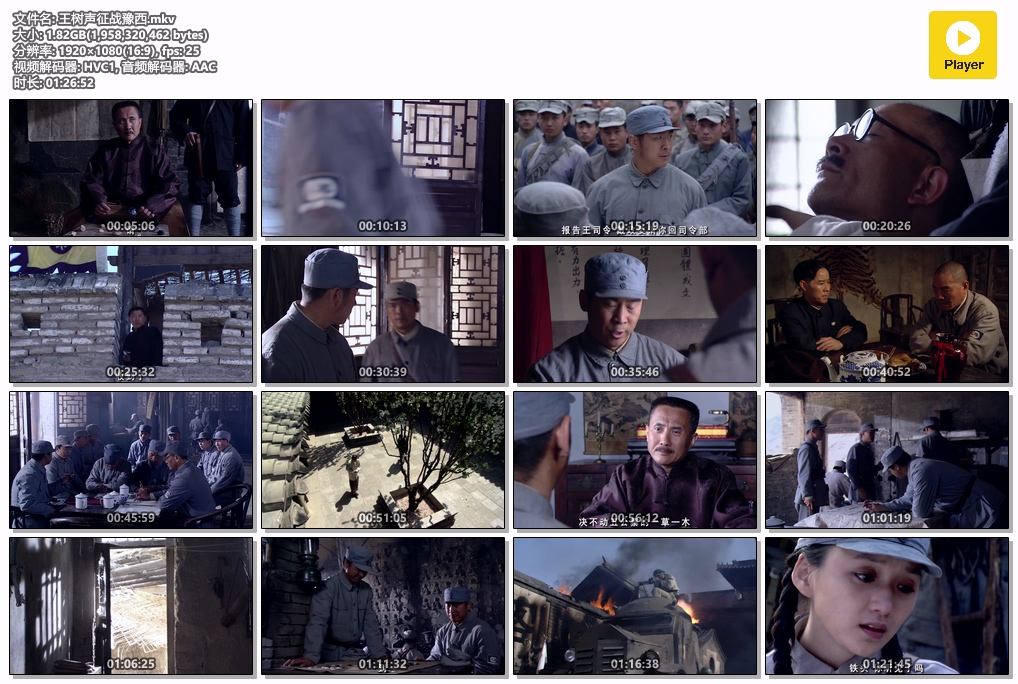 王树声征战豫西.mkv.jpg