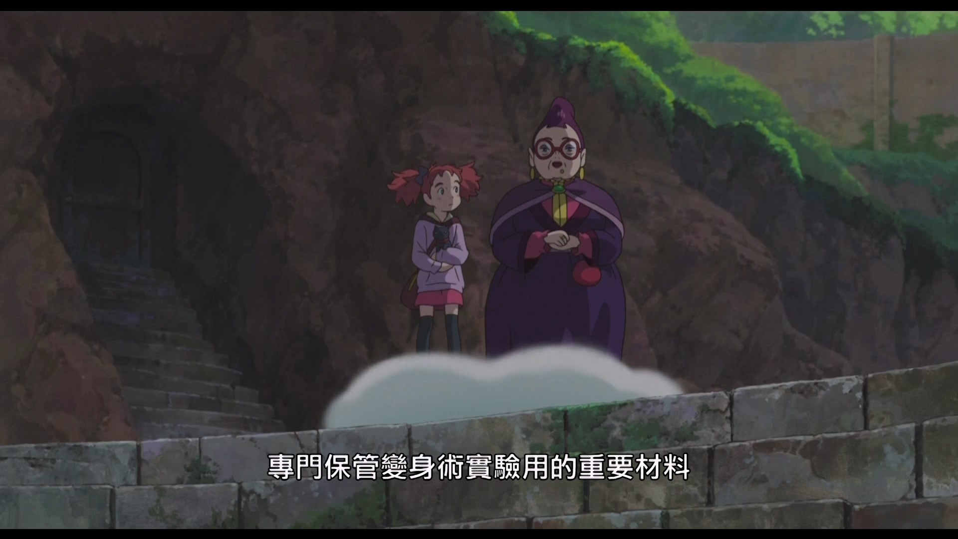 2017.瑪麗與魔女之花 - LNZYB.mp4_20250520_142017.064.jpg