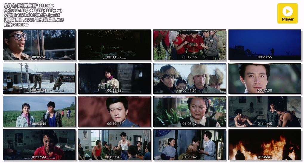 我们的田野 1983.mkv.jpg