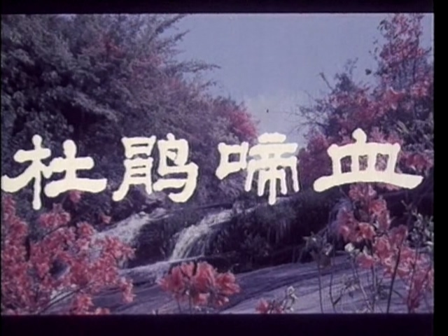 杜鹃啼血 1984.mp4_20250525_202510.987.jpg