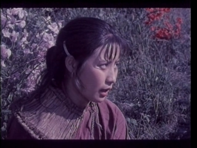 杜鹃啼血 1984.mp4_20250525_202556.530.jpg