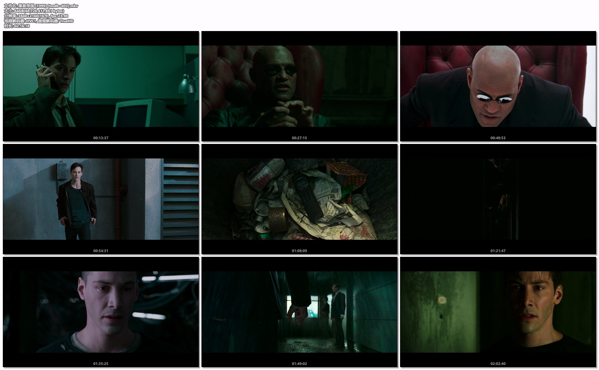 黑客帝国 (1999) [tmdb=603].mkv.png