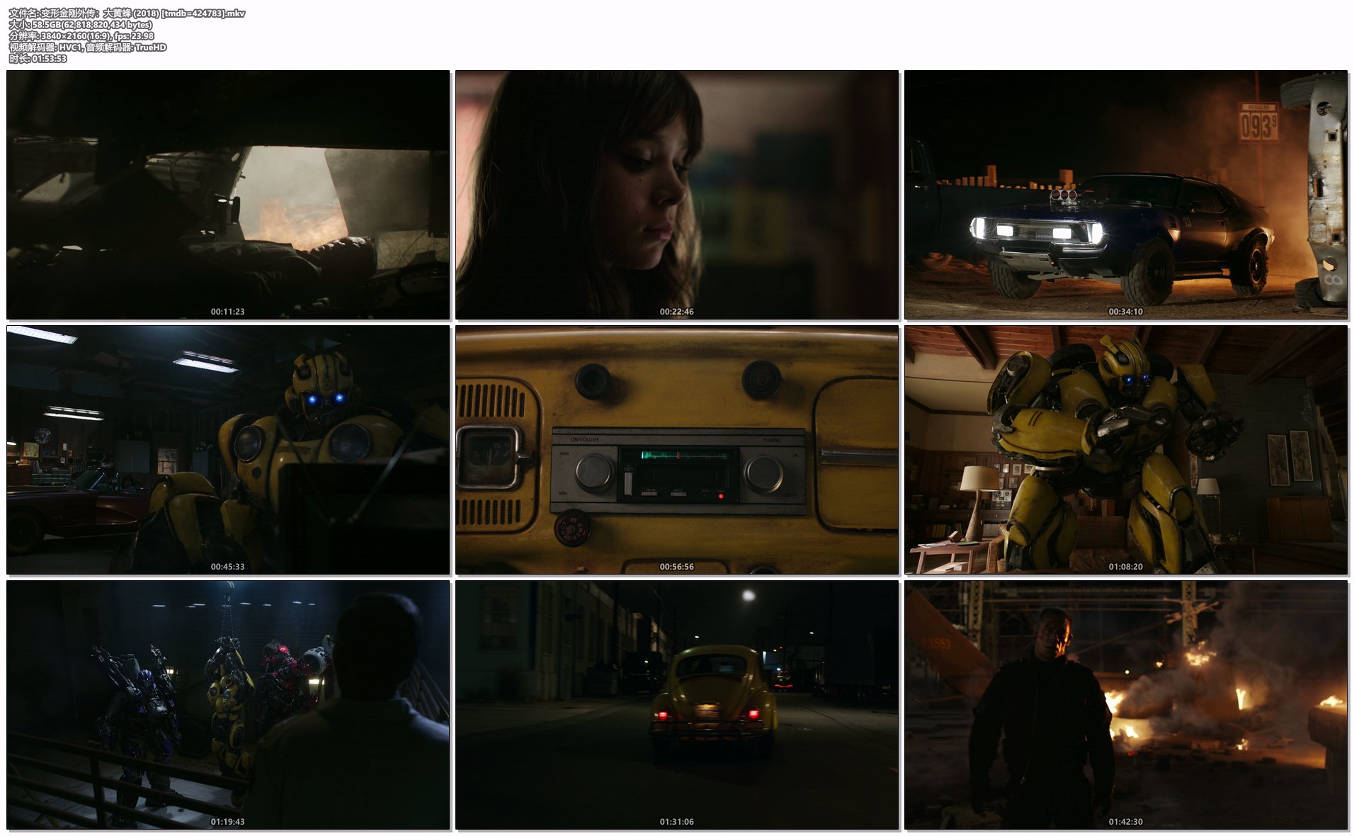 变形金刚外传：大黄蜂 (2018) [tmdb=424783].mkv.png