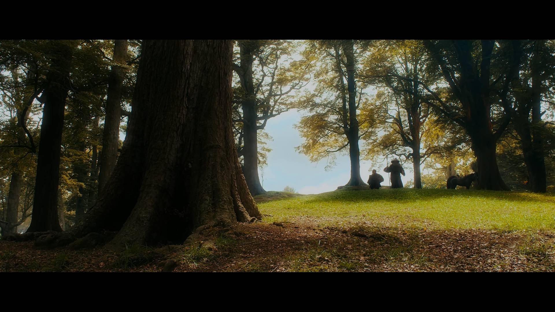 霍比特人3：五军之战 (2014).mkv_022431.788.png