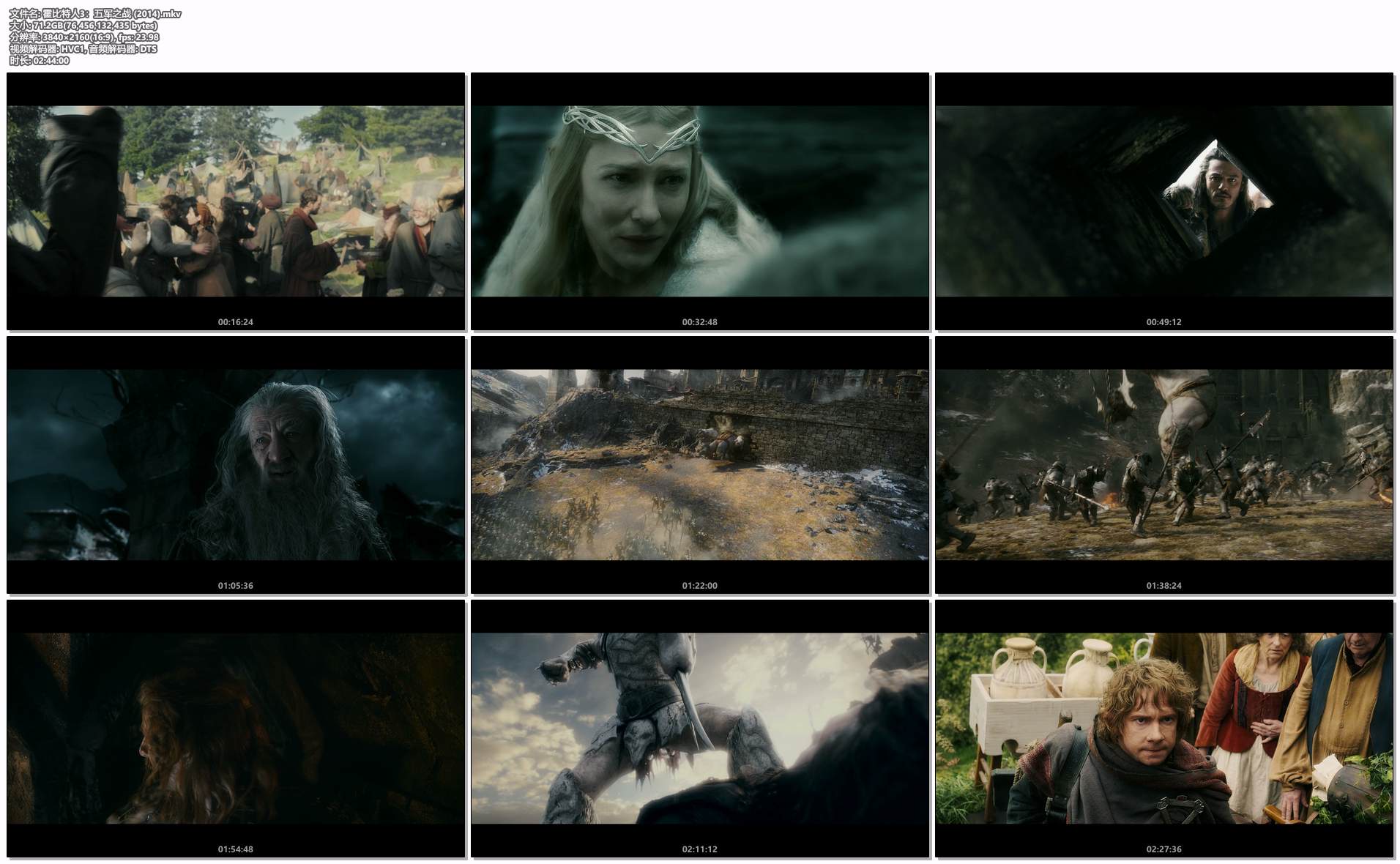 霍比特人3：五军之战 (2014).mkv.png