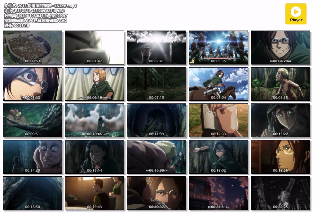 2013.伊爾澤的筆記 - LNZYB .mp4.jpg