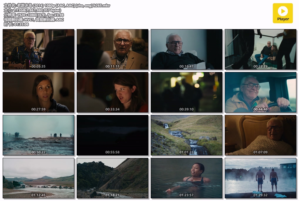 老游冰岛 (2014) 1080p [AAC, AAC] [zho, eng] h265.mkv.jpg