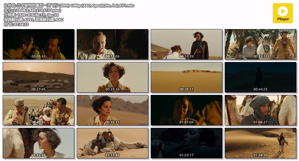 兰卡斯特的最后一次飞行 (2009) 1080p [AAC, Opus] [zho, fra] AV1.mkv.jpg