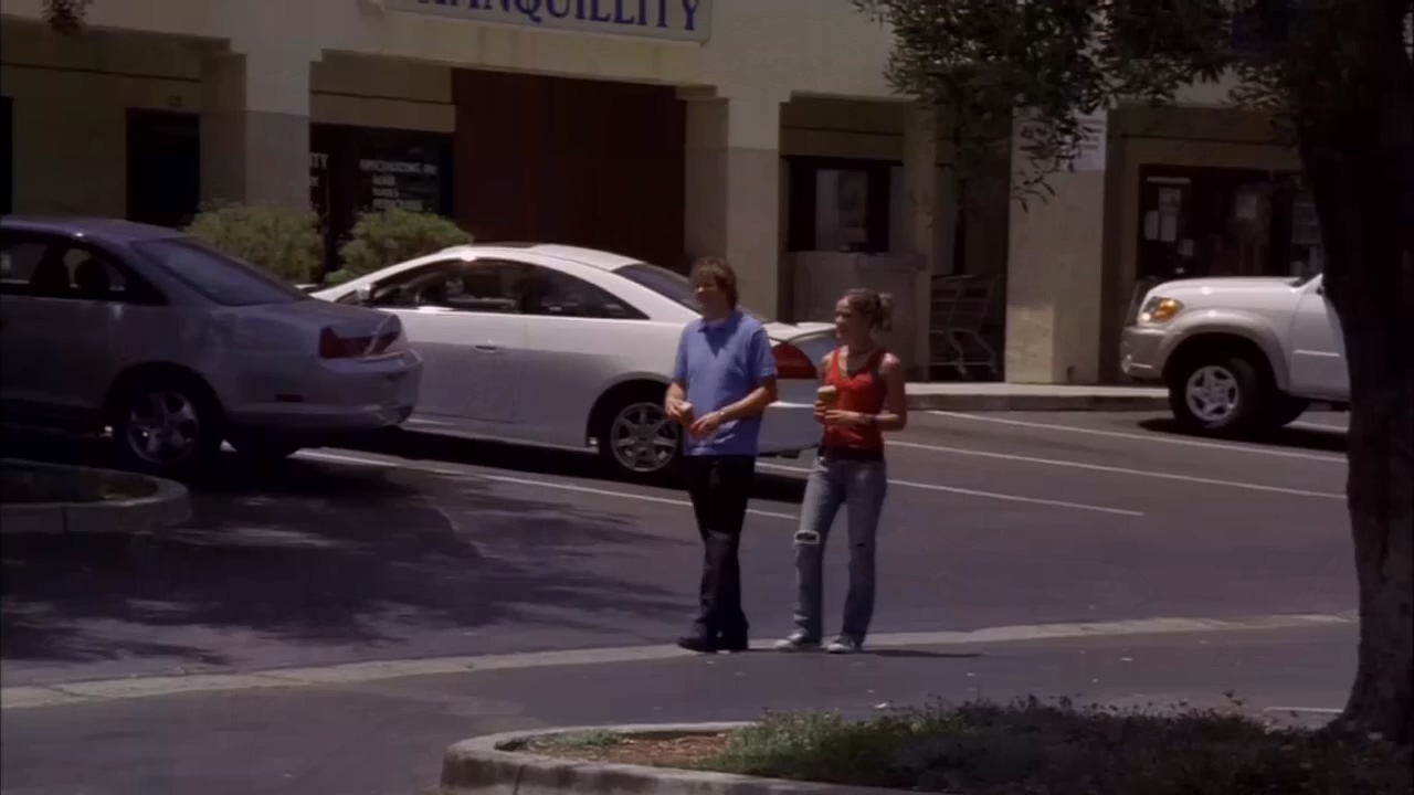 三个新娘一个老爸 (2004) 720p [AAC, AAC] [zho, eng] h264.mkv_20250527_000010.403.jpg