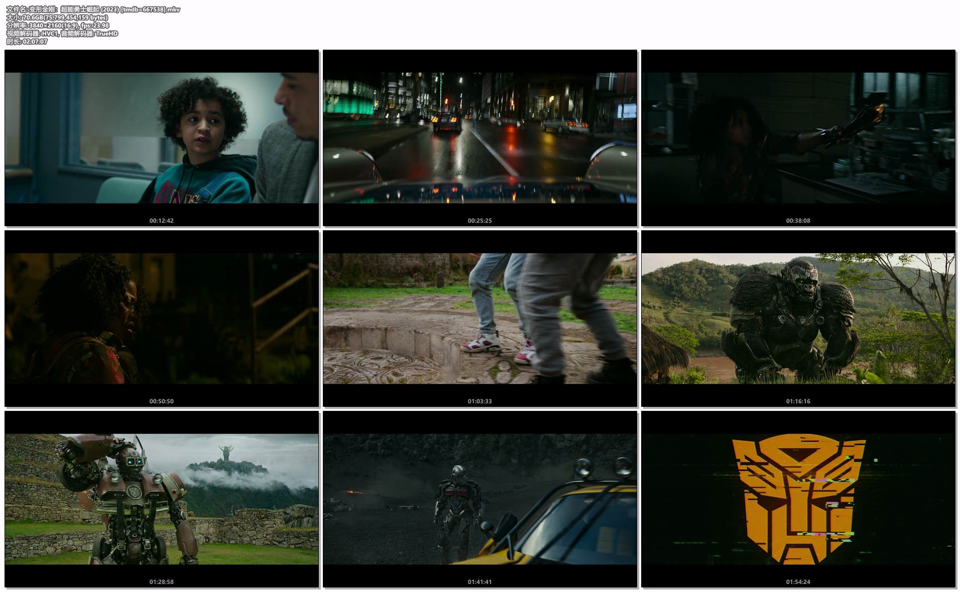 变形金刚：超能勇士崛起 (2023) [tmdb=667538].mkv.png