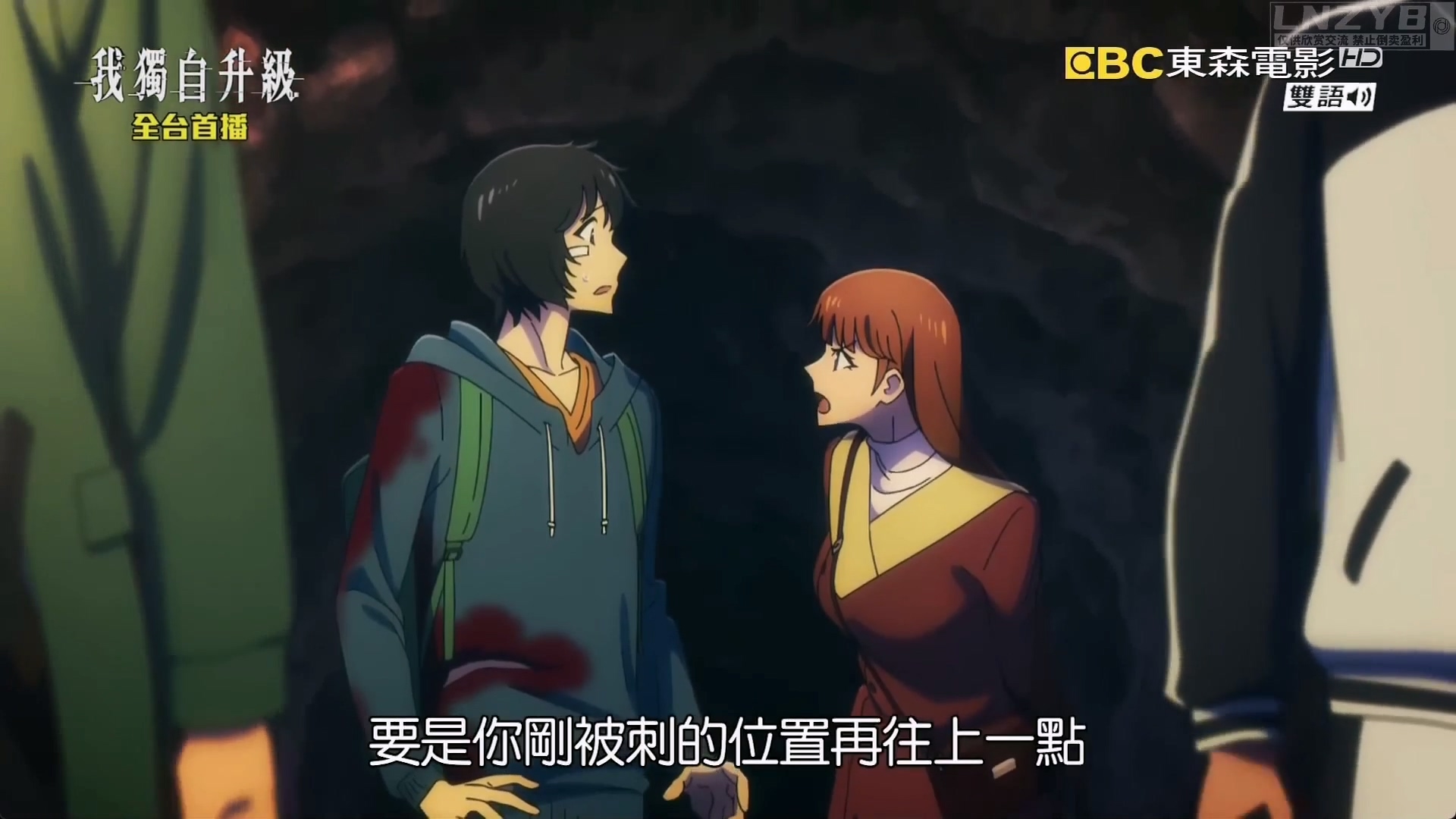 我独自升级 01 - LNZYB.mp4_20250529_230647.603.jpg