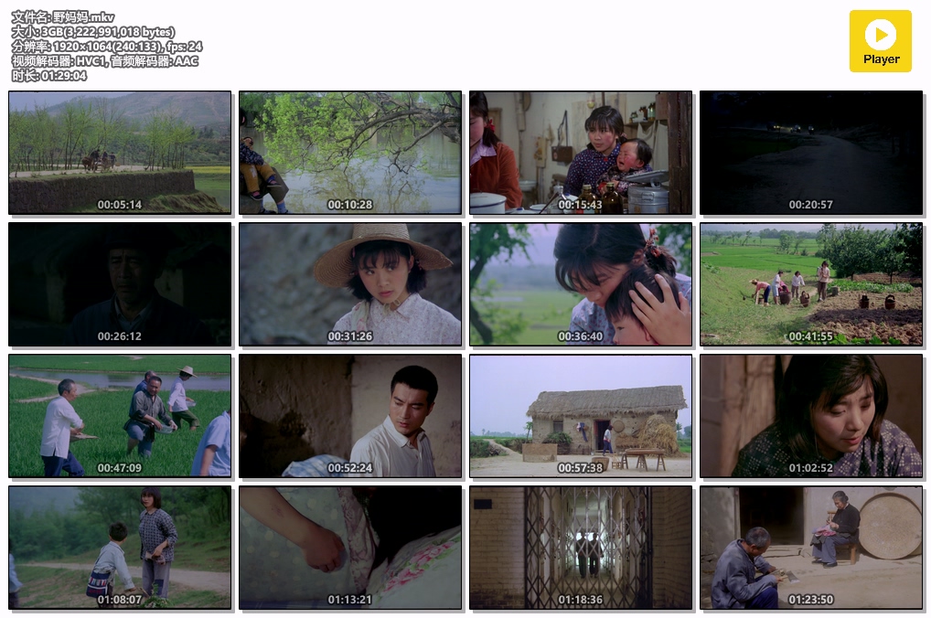 野妈妈.mkv.jpg
