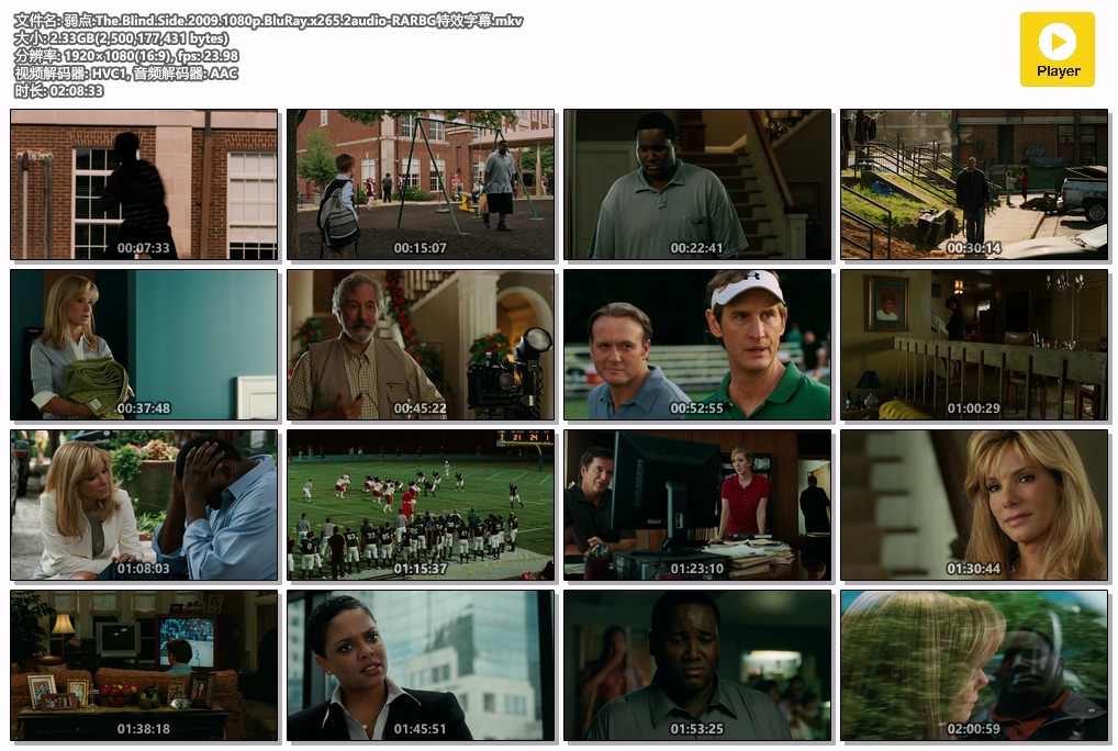 弱点.The.Blind.Side.2009.1080p.BluRay.x265.2audio-RARBG特效字幕.mkv.jpg