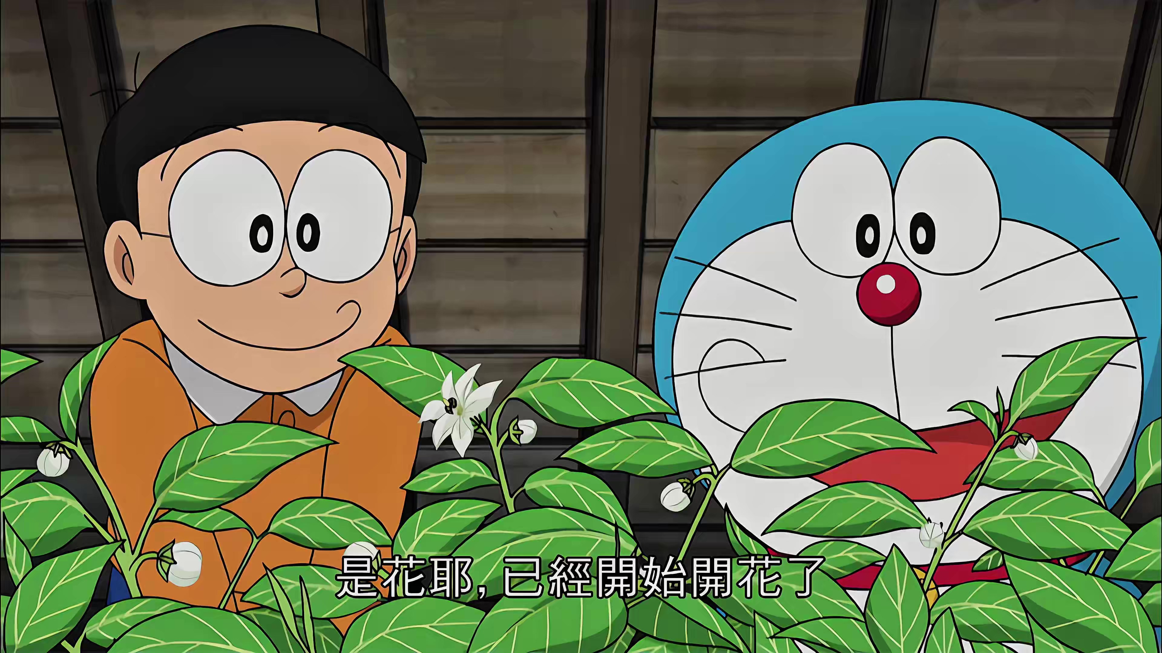 042 阁楼的青椒田.mp4_20250602_134848.564.jpg