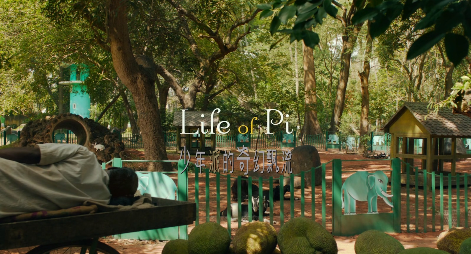 少年派的奇幻漂流.Life.of.Pi.2012.CEE.Bluray.1080p.x265.AAC(5.1).2Audios.GREENOTE.jpg